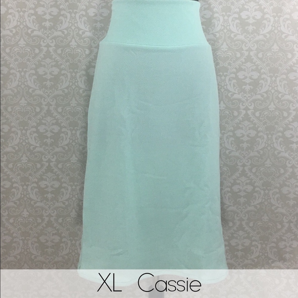 BNWT LulaRoe Cassie Skirt in XL